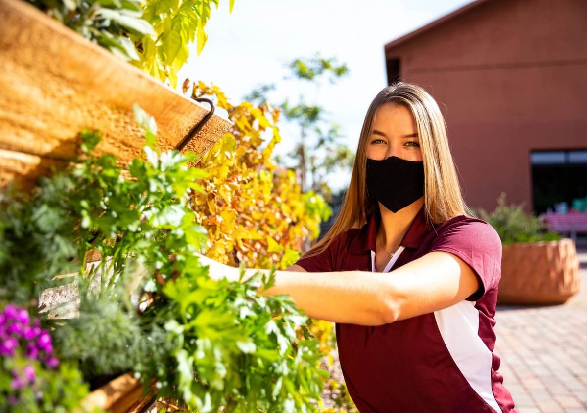Diploma in Agriculture